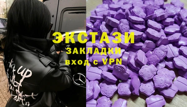 индика Богданович