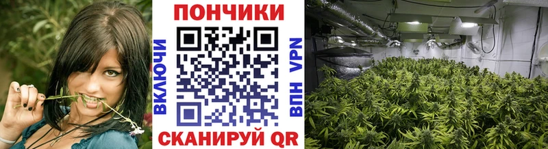 МАРИХУАНА THC 21%  Ярославль 